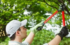 gardening