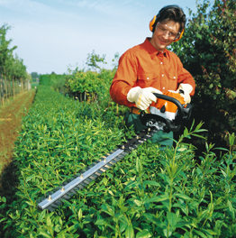 Hedge Trimming Cricklewood